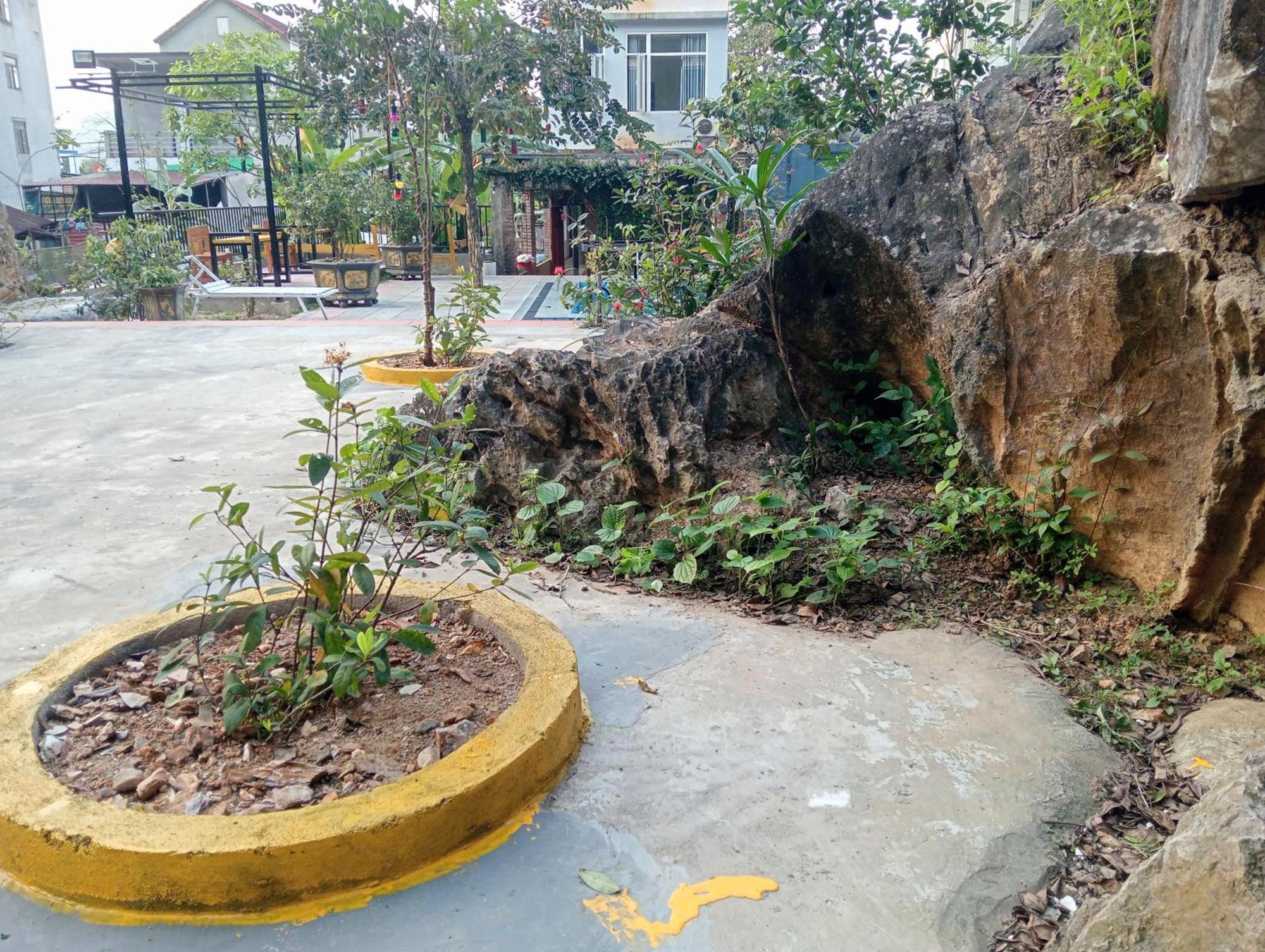 Song Toan Hotel Phong Nha Exteriör bild